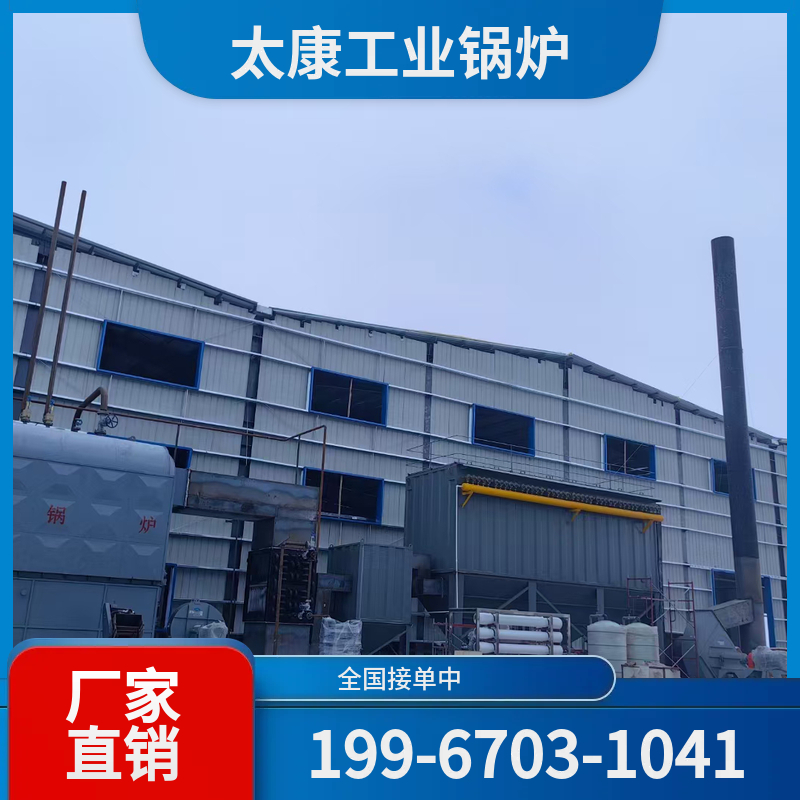 龙岩高温导热油锅炉