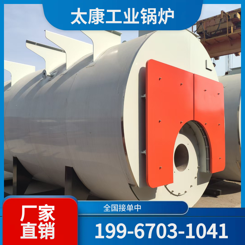 龙岩燃煤导热油锅炉